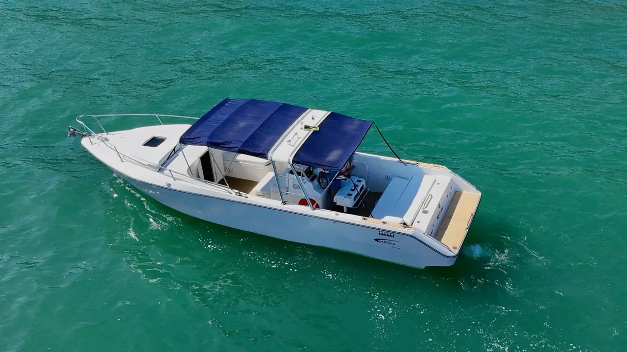 Rotituna 31 en Ilhabela – foto 4