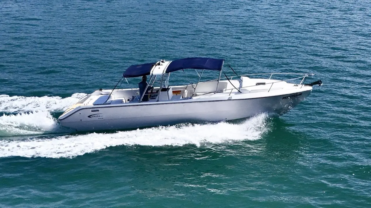 Rotituna 31 en Ilhabela – foto 2