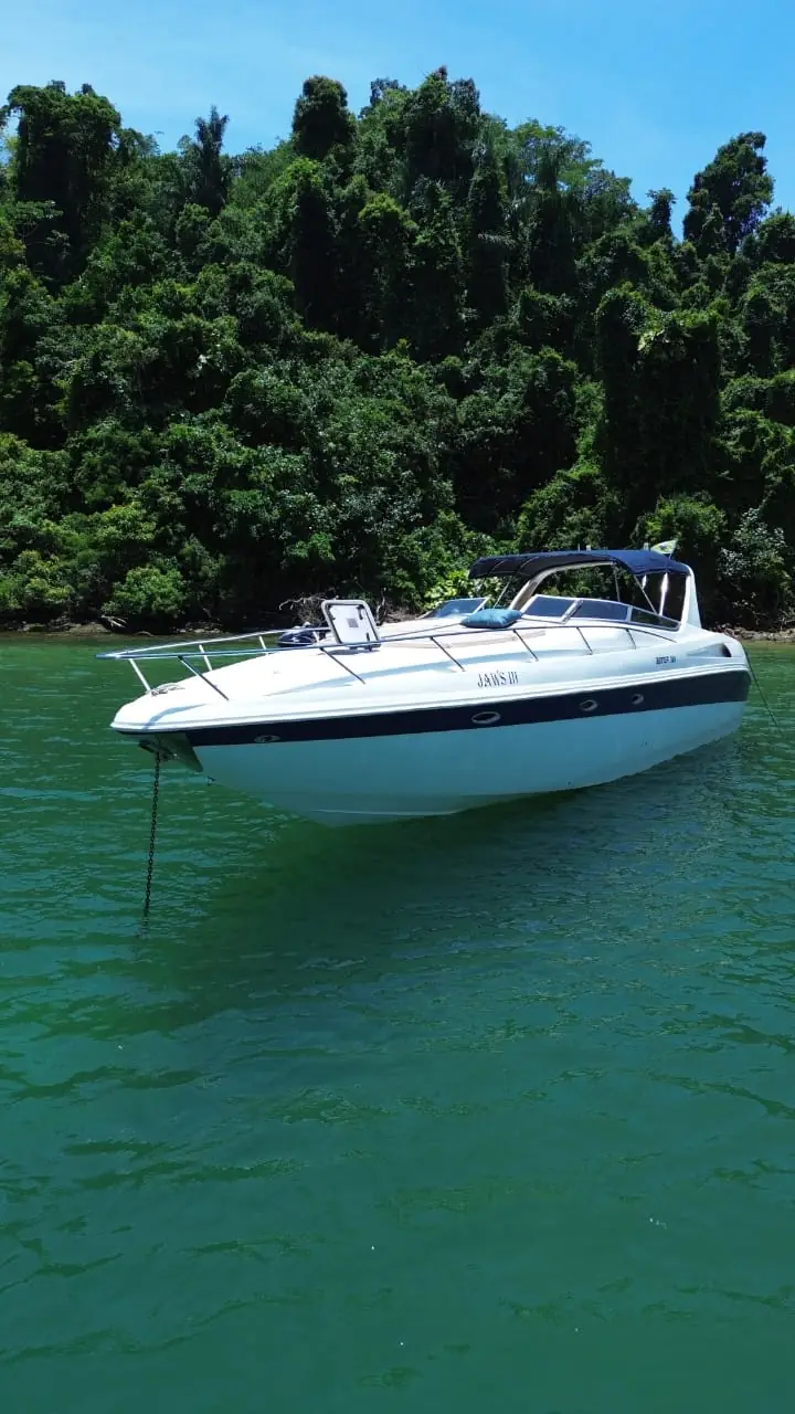 Runner 38 in Ilhabela – photo 2