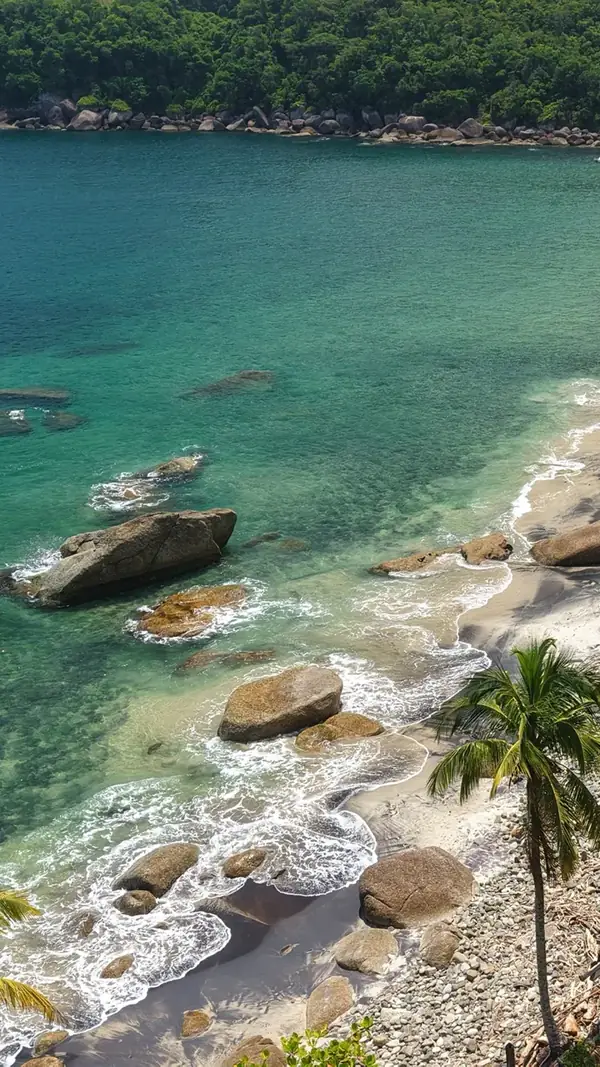 Playa con cocoteros en Ilhabela