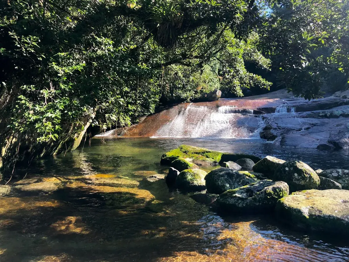Poço e queda da Cachoeira da Laje em meio à mata