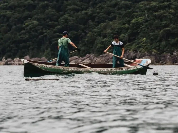 Pescadores remando uma canoa de pesca artesanal