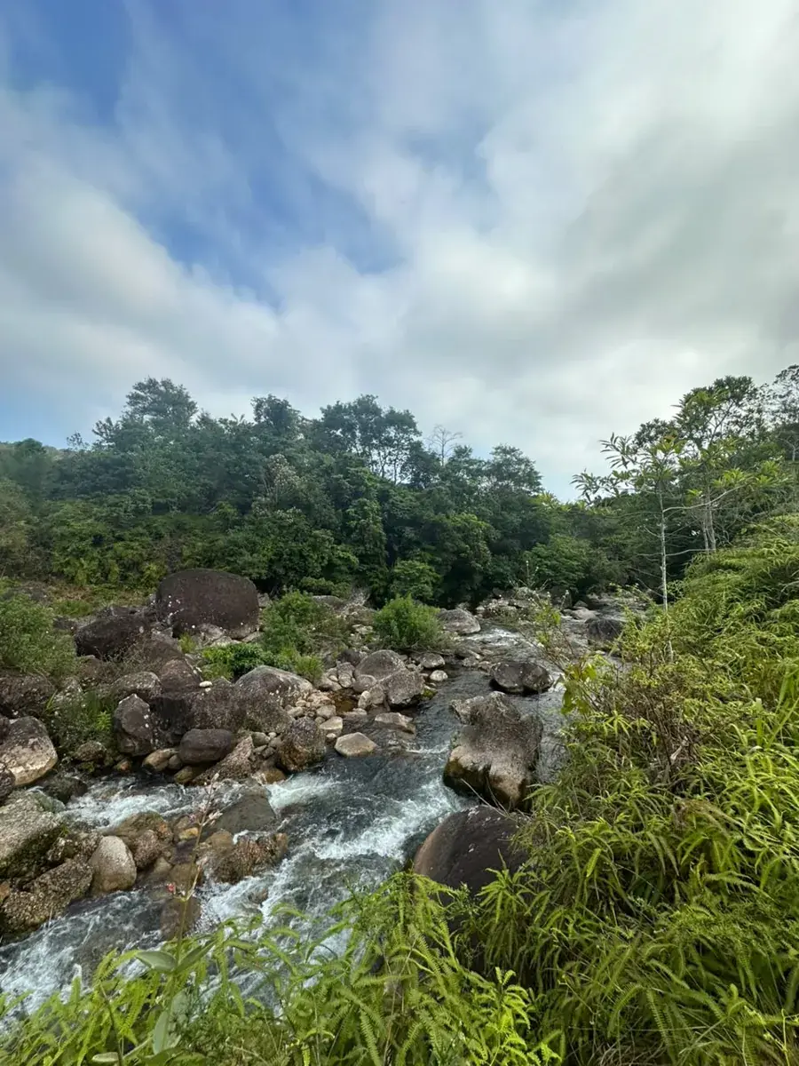 Corredeira entre pedras e Mata Atlântica no Bonete