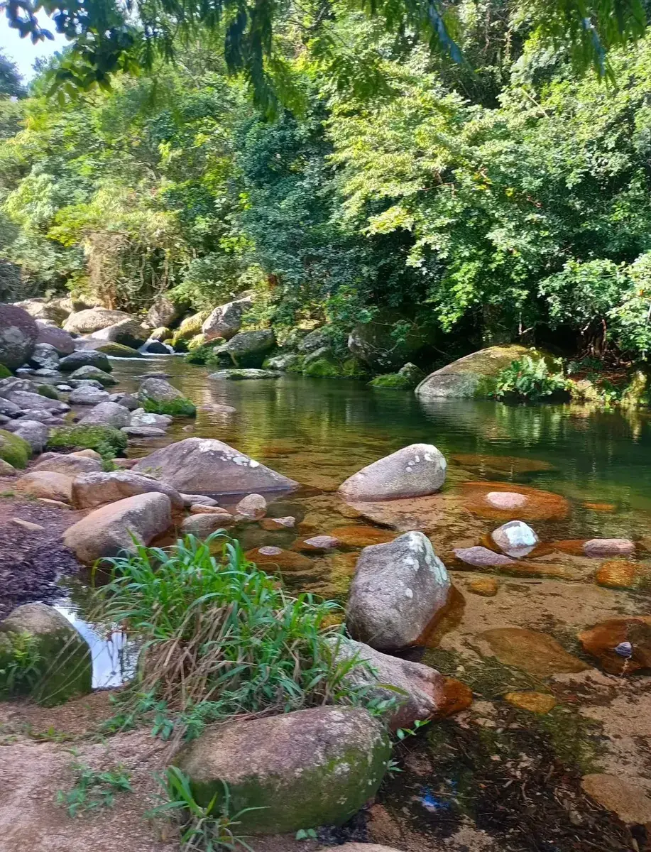 Pedras e água transparente no rio da Cachoeira do Poço Fundo