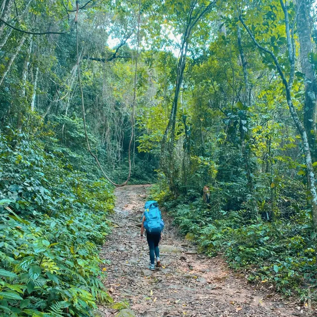 Trilheira caminhando em trilha de terra no meio da Mata Atlântica em Ilhabela