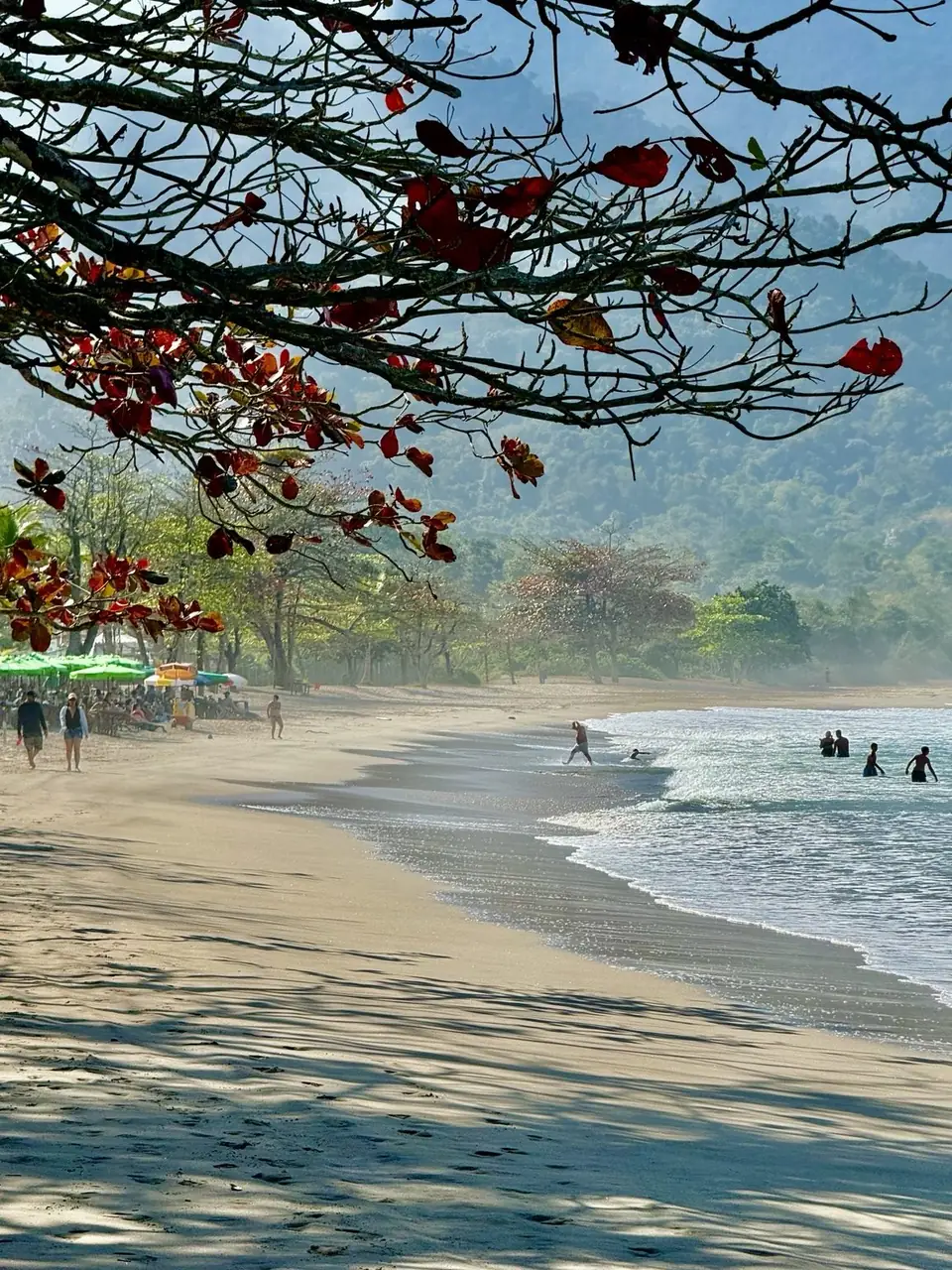 Praia de Castelhanos