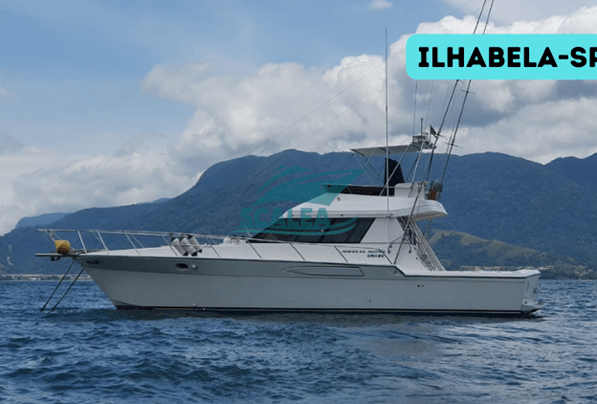 MARES 45 (10)