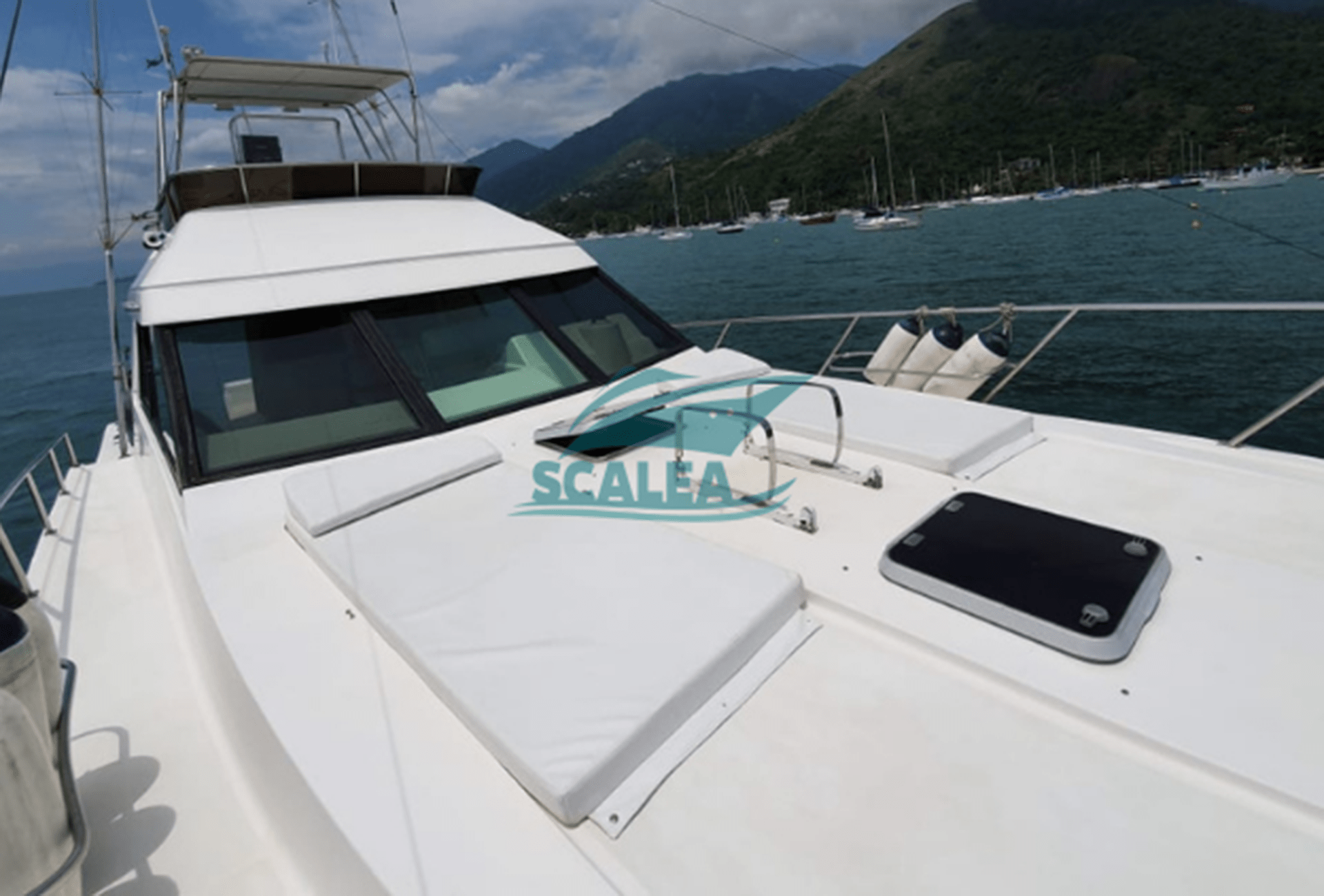 MARES 45 (11)
