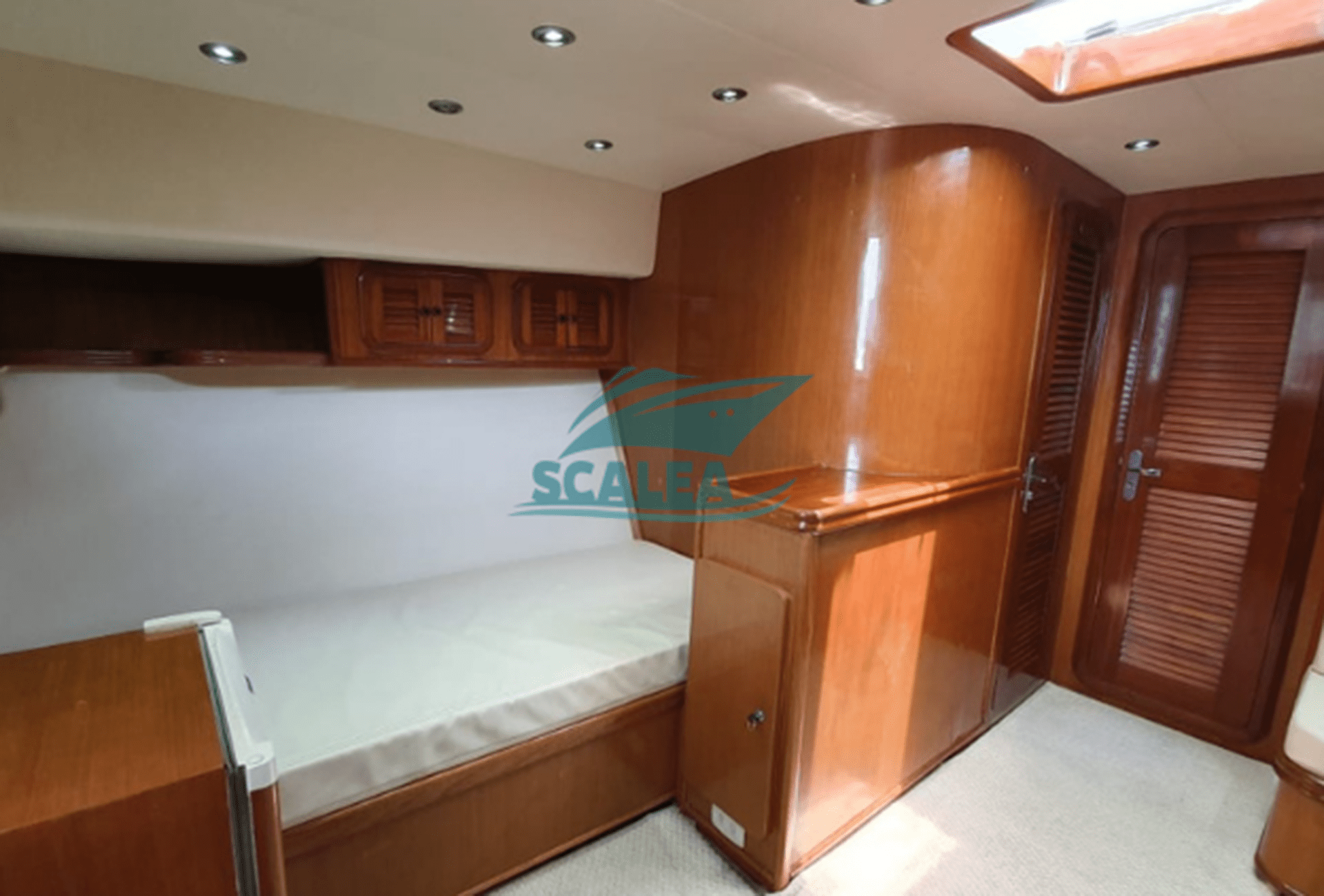MARES 45 (2)