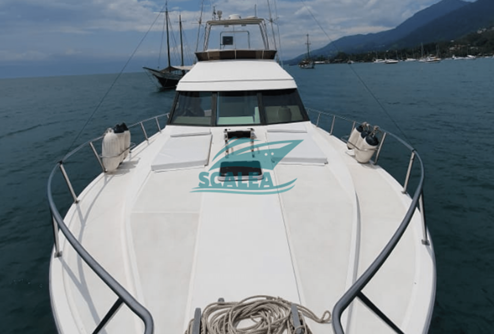 MARES 45 (7)