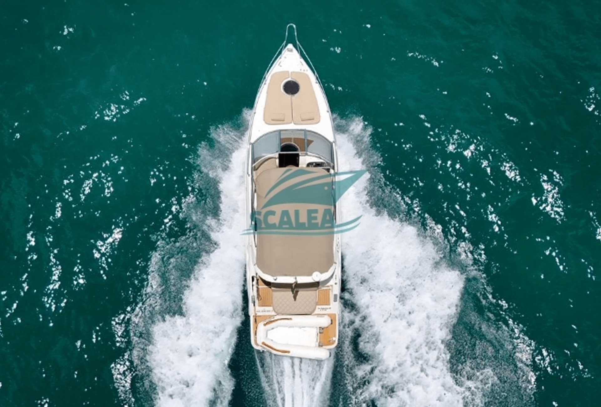 PHANTOM 33 (11)